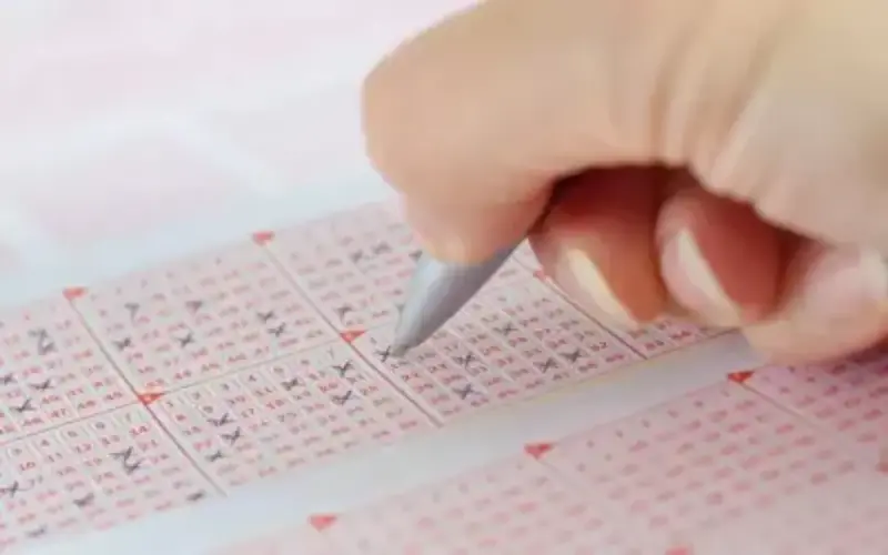 meghalaya state lottery result at Joymall App body image